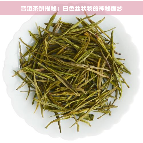 普洱茶饼揭秘：白色丝状物的神秘面纱