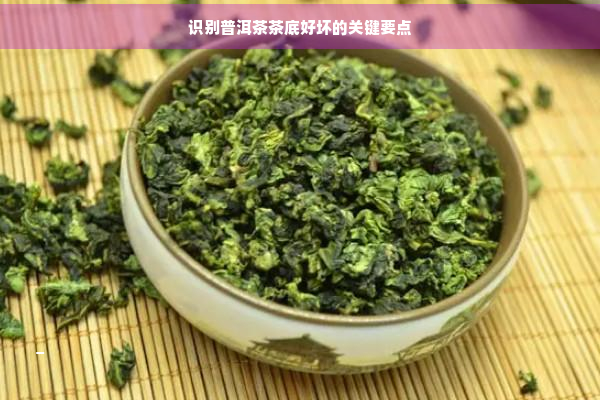 识别普洱茶茶底好坏的关键要点