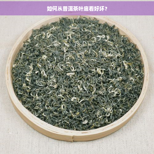 如何从普洱茶叶底看好坏？