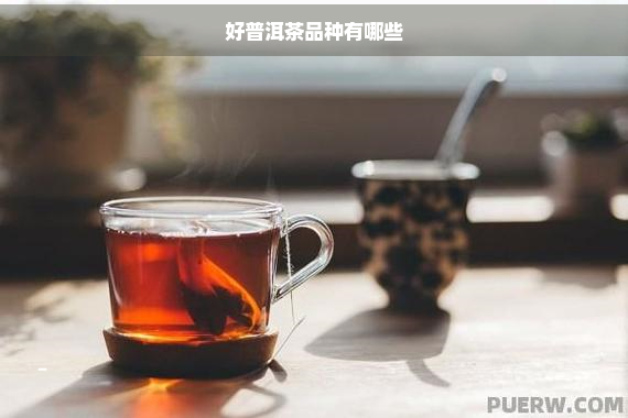 好普洱茶品种有哪些