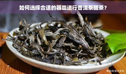 如何选择合适的器皿进行普洱茶醒茶？