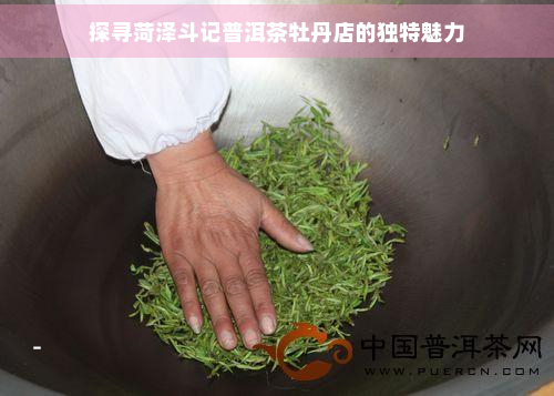 探寻菏泽斗记普洱茶牡丹店的独特魅力