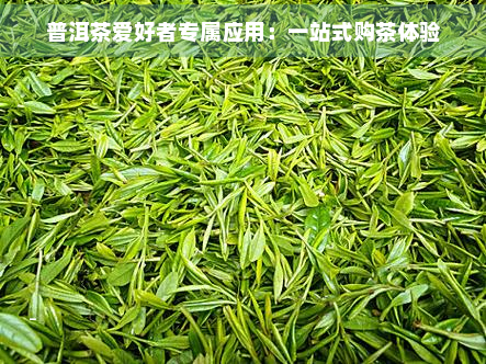 普洱茶爱好者专属应用：一站式购茶体验