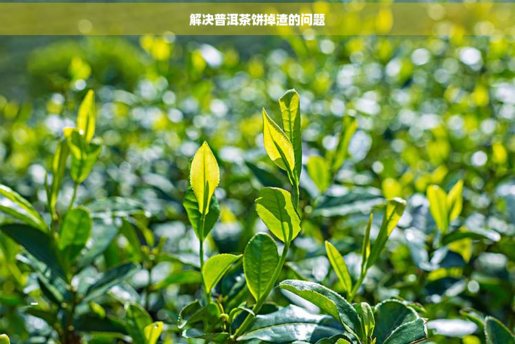 解决普洱茶饼掉渣的问题