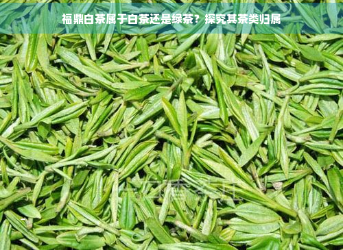 福鼎白茶属于白茶还是绿茶？探究其茶类归属