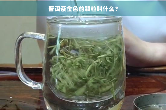 普洱茶金色的颗粒叫什么？