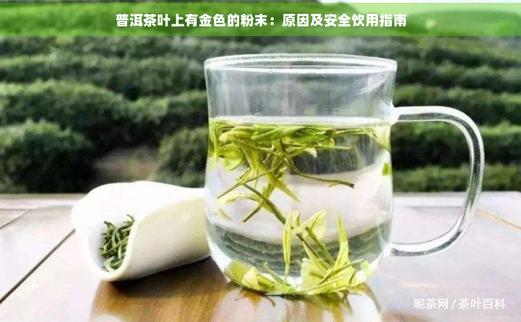 普洱茶叶上有金色的粉末：原因及安全饮用指南