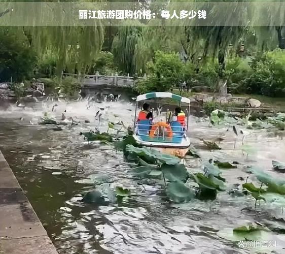 丽江旅游团购价格：每人多少钱