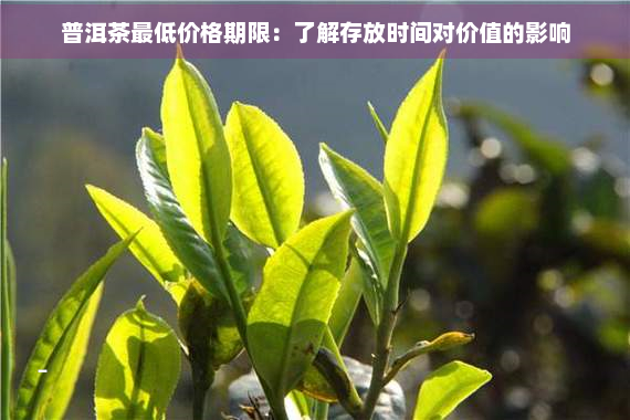 普洱茶更低价格期限：了解存放时间对价值的影响