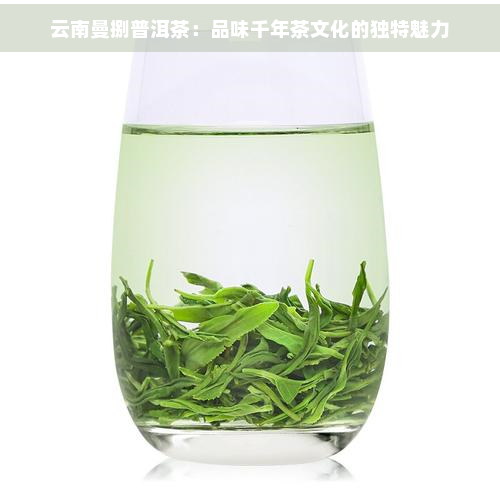 云南曼捌普洱茶：品味千年茶文化的独特魅力