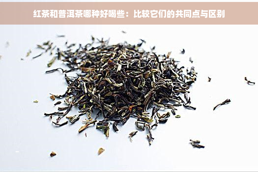 红茶和普洱茶哪种好喝些：比较它们的共同点与区别