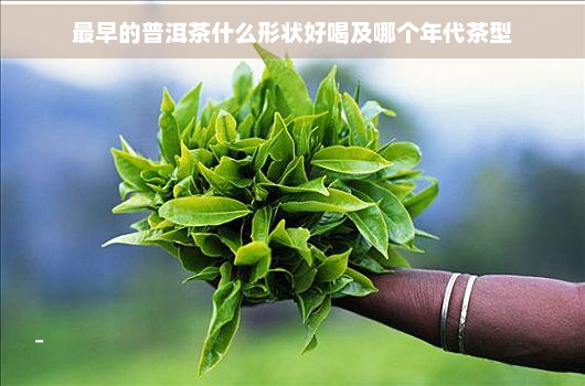 最早的普洱茶什么形状好喝及哪个年代茶型