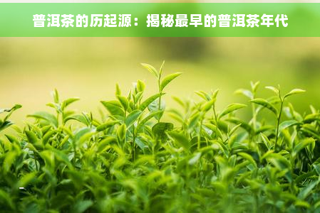 普洱茶的历起源：揭秘最早的普洱茶年代