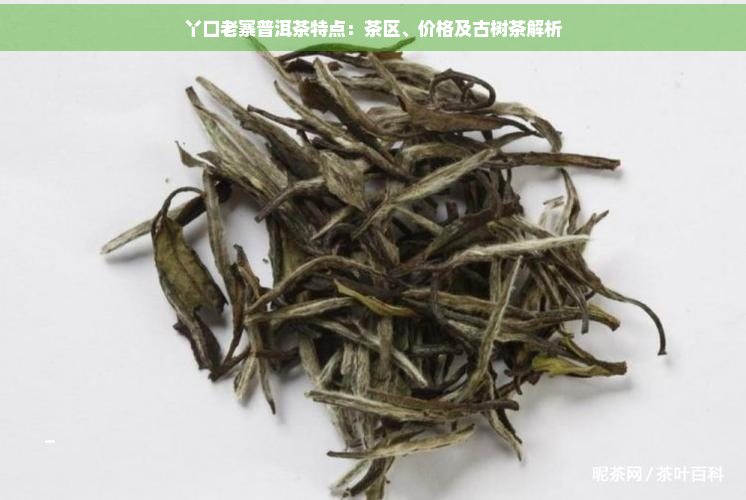 丫口老寨普洱茶特点：茶区、价格及古树茶解析