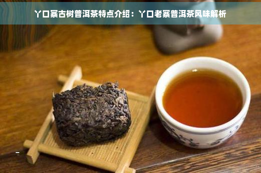 丫口寨古树普洱茶特点介绍：丫口老寨普洱茶风味解析