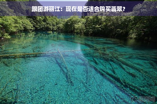 跟团游丽江：现在是否适合购买翡翠？