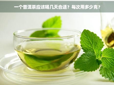 一个普洱茶应该喝几天合适？每次用多少克？