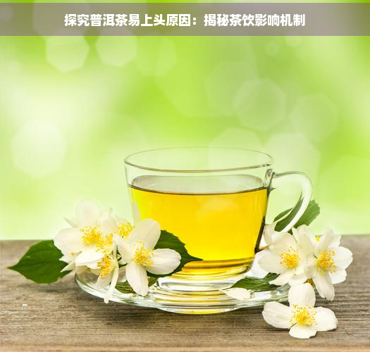 探究普洱茶易上头原因：揭秘茶饮影响机制