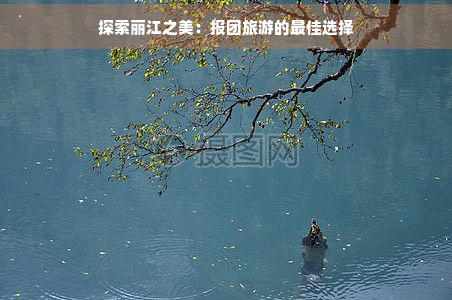 探索丽江之美：报团旅游的更佳选择