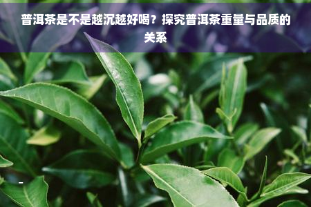 普洱茶是不是越沉越好喝？探究普洱茶重量与品质的关系