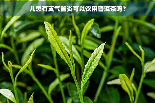 儿患有支气管炎可以饮用普洱茶吗？