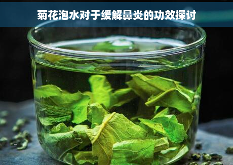 菊花泡水对于缓解鼻炎的功效探讨