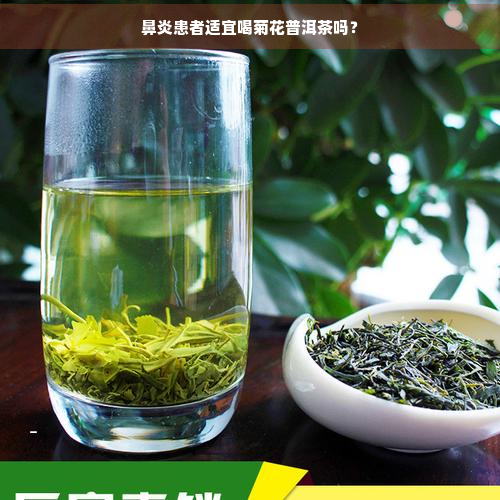 鼻炎患者适宜喝菊花普洱茶吗？