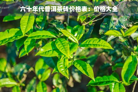 六十年代普洱茶砖价格表：价格大全