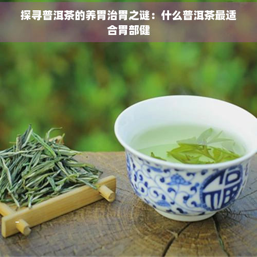 探寻普洱茶的养胃治胃之谜：什么普洱茶最适合胃部健