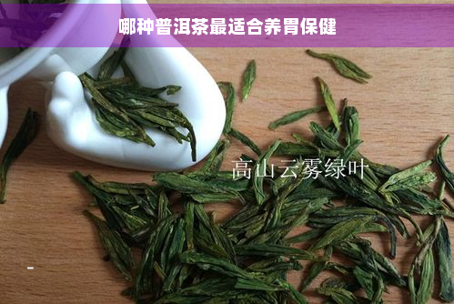 哪种普洱茶最适合养胃保健