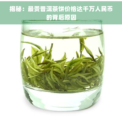 揭秘：最贵普洱茶饼价格达千万人民币的背后原因