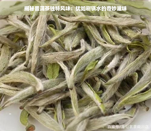 揭秘普洱茶独特风味：犹如刷锅水的奇妙滋味