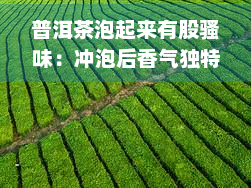 普洱茶泡起来有股骚味：冲泡后香气独特