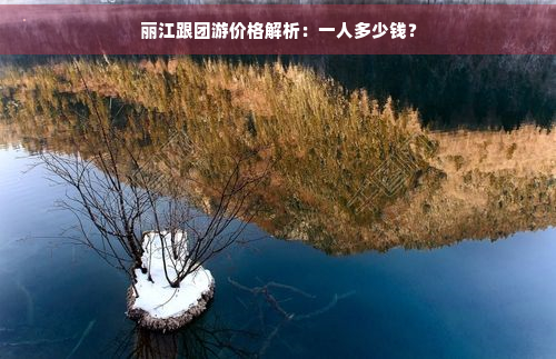 丽江跟团游价格解析：一人多少钱？