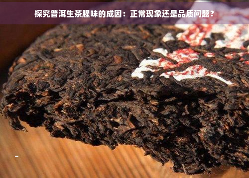 探究普洱生茶腥味的成因：正常现象还是品质问题？