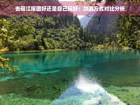 去丽江报团好还是自己玩好：旅游方式对比分析