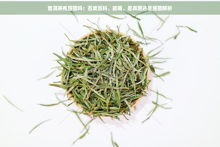 普洱茶有细菌吗：百度百科、能喝、是真菌还是细菌解析