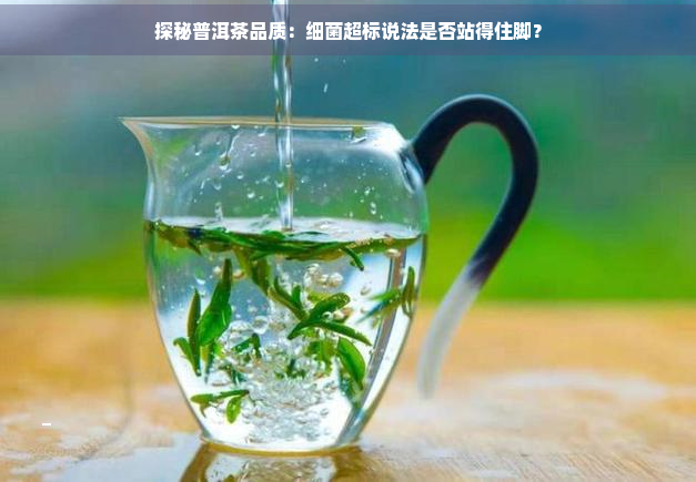 探秘普洱茶品质：细菌超标说法是否站得住脚？