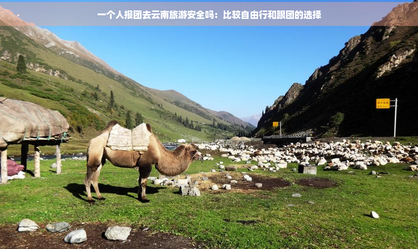 一个人报团去云南旅游安全吗：比较自由行和跟团的选择