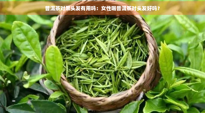 普洱茶对黑头发有用吗：女性喝普洱茶对头发好吗？