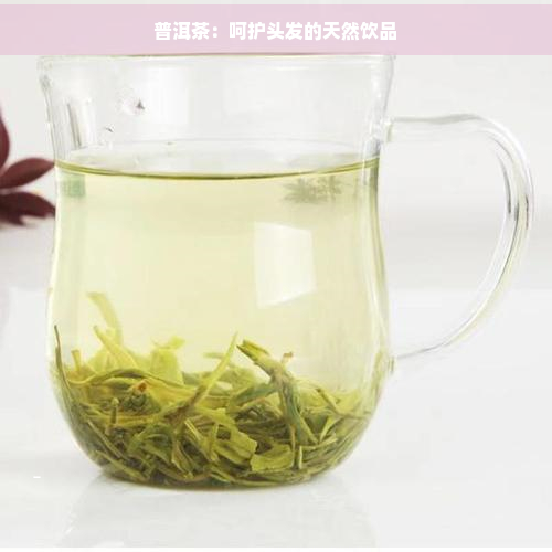 普洱茶：呵护头发的天然饮品