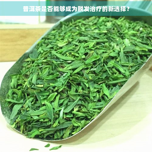 普洱茶是否能够成为脱发治疗的新选择？