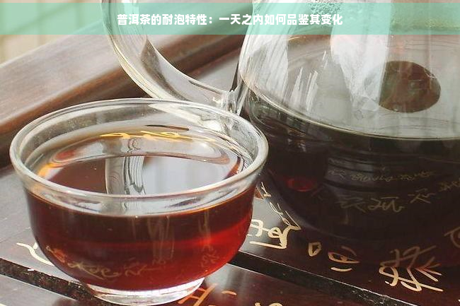 普洱茶的耐泡特性：一天之内如何品鉴其变化