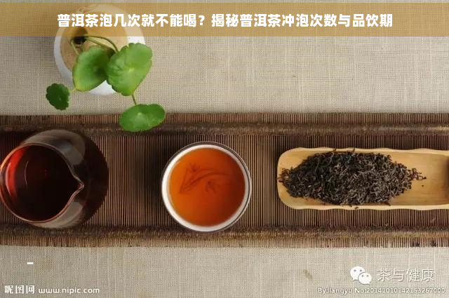 普洱茶泡几次就不能喝？揭秘普洱茶冲泡次数与品饮期