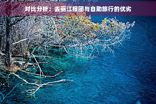 对比分析：去丽江报团与自助旅行的优劣