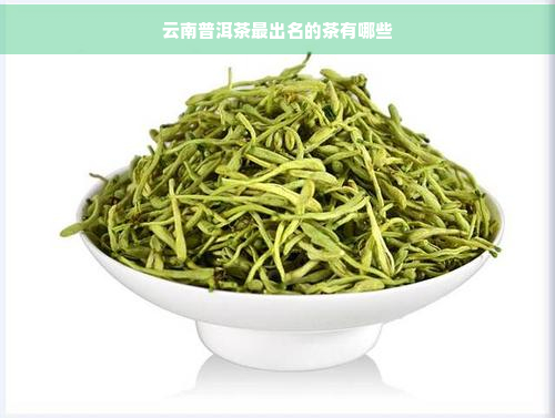 云南普洱茶最出名的茶有哪些