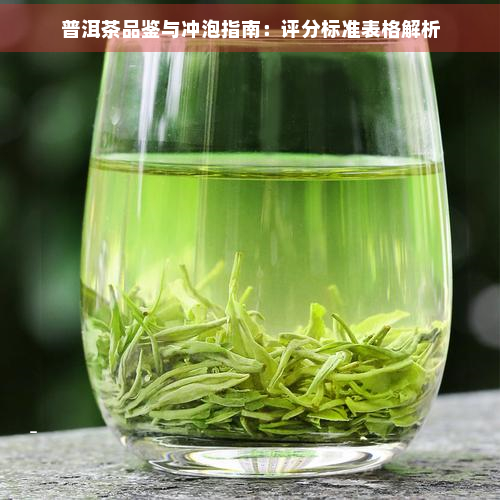 普洱茶品鉴与冲泡指南：评分标准表格解析