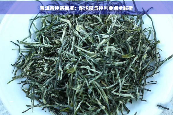 普洱茶评茶标准：耐泡度与评判要点全解析