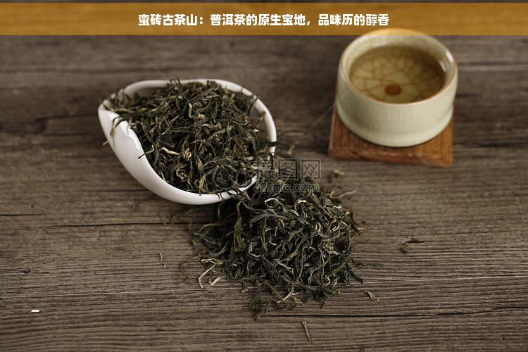 蛮砖古茶山：普洱茶的原生宝地，品味历的醇香