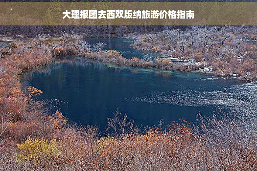 大理报团去西双版纳旅游价格指南